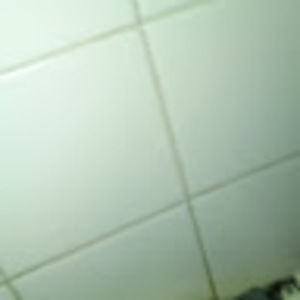 Meet your Posher, Teri